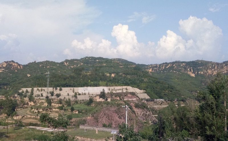 555.jpg